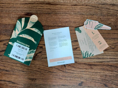 Bloomscape Plant Delivery Review (2023) - Petal Republic