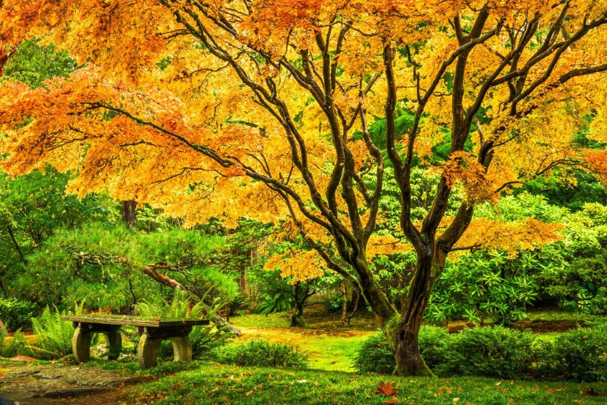 51 Best Botanical Gardens and Arboretums in the USA Petal Republic