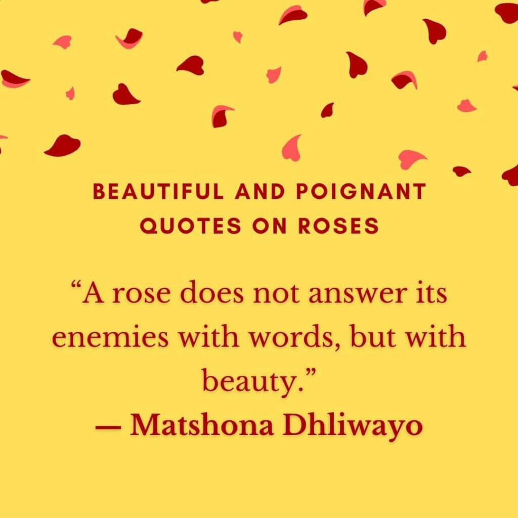 Beautiful and Poignant Quotes on Roses
