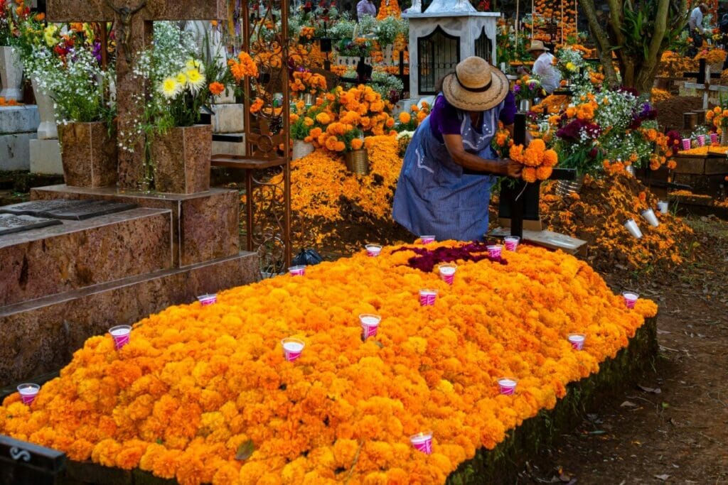 Marigolds