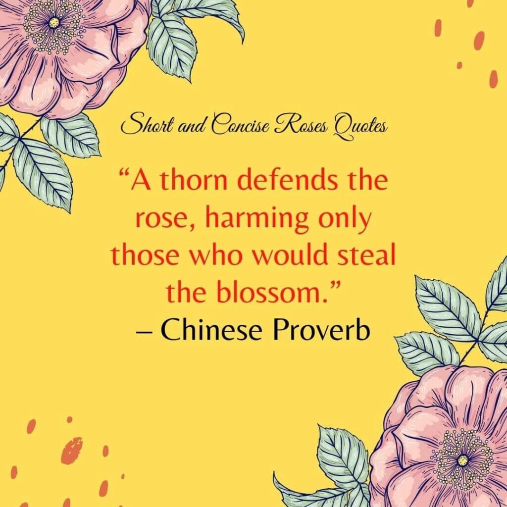 Short and Concise Roses Quotes