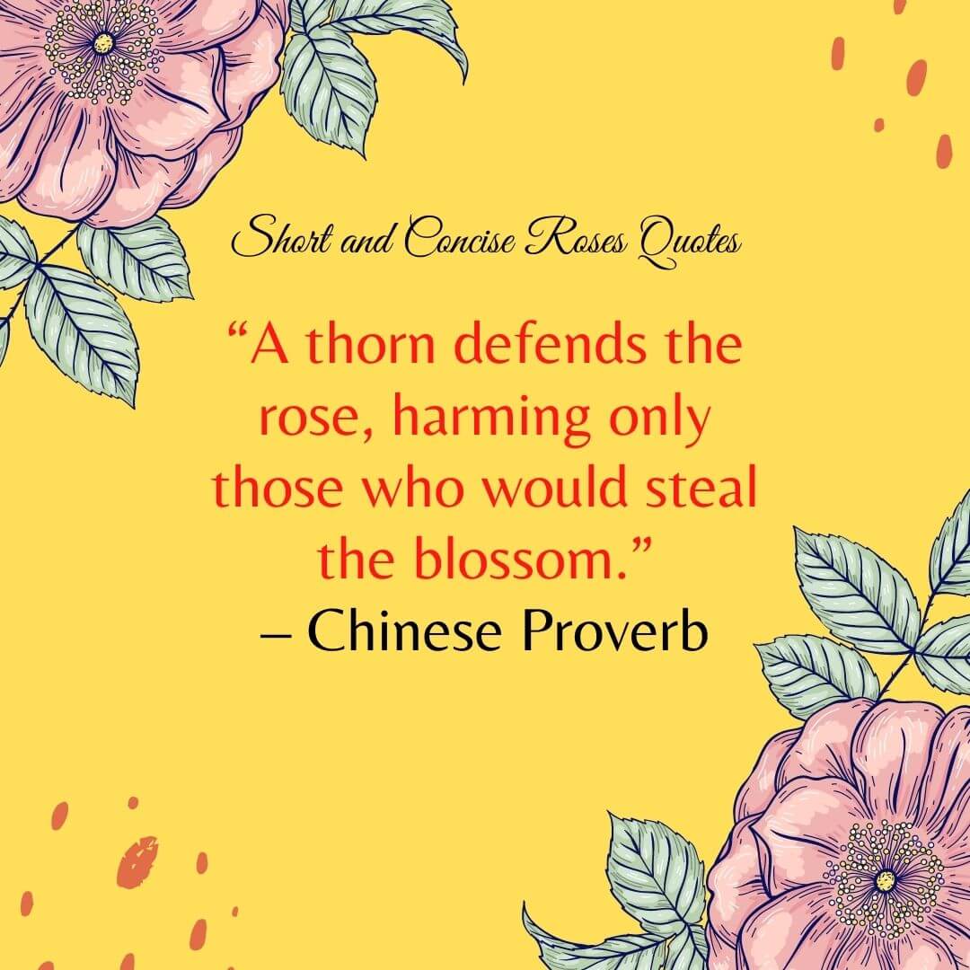 Quote On Roses And Code 90+ Best Rose Quotes and Messages - Petal Republic