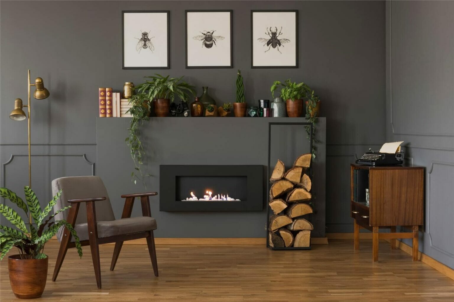 40 Plants That Don't Need Sunlight to Grow Petal Republic