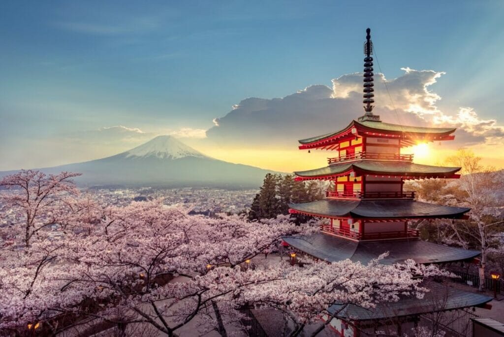 What Regions are Cherry Blossoms Native to?