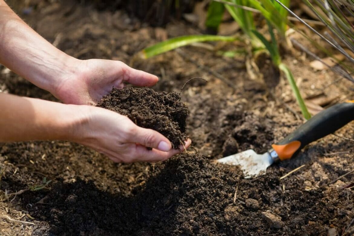 How to Amend Your Soil Building Better Garden Soil 101 Petal Republic