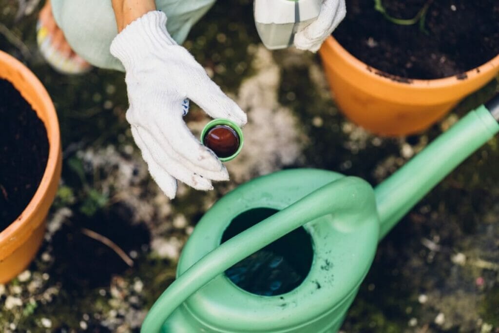 A person pouring a measure of liquid fertilizer into a watering can
