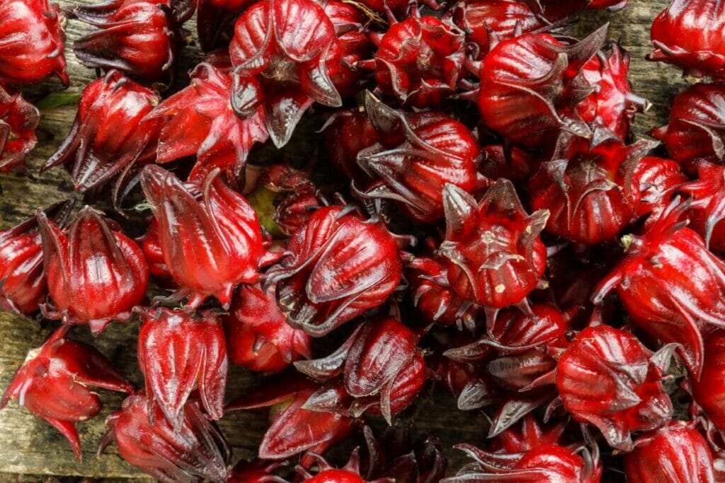 32 Amazing Uses and Benefits of Hibiscus