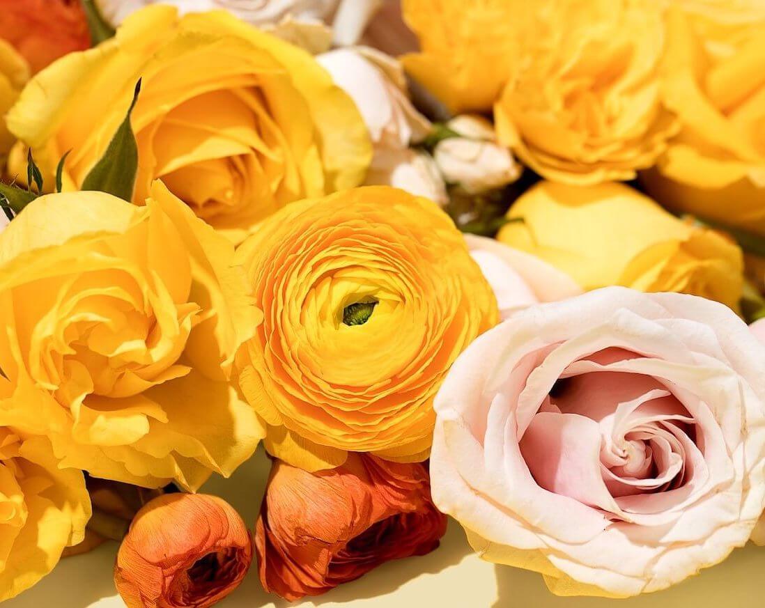 14 Best California Flower Delivery Services (Tested & Reviewed) Petal