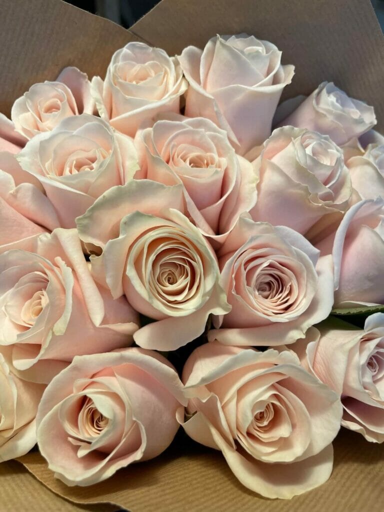 Flowerbx Bouquet Fresh From The Box