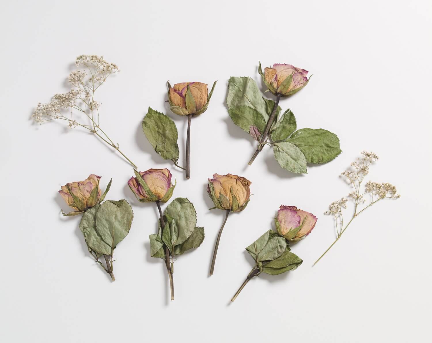 How to Press Roses: 3 Fun and Easy Methods
