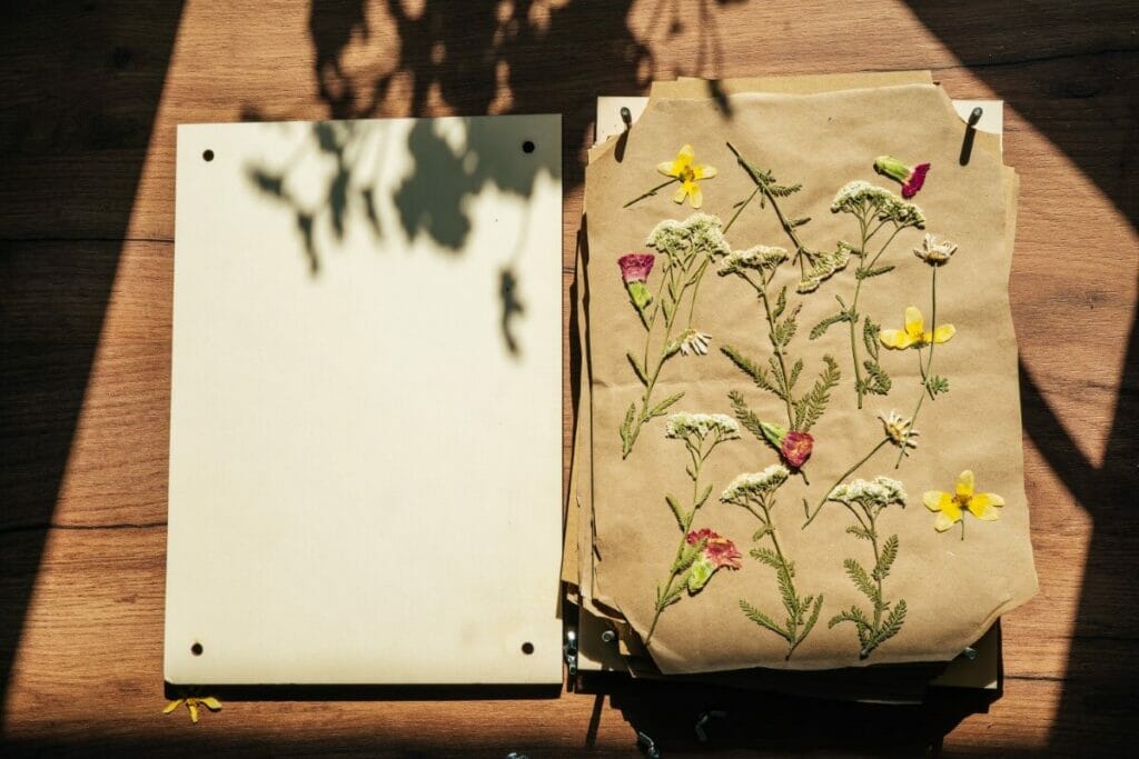 How to Press Roses Using a Flower Press
