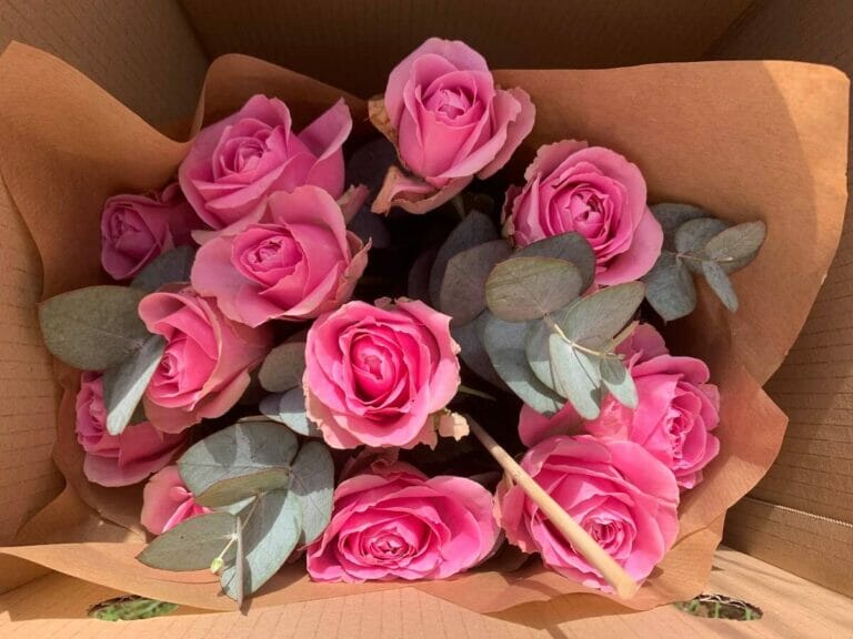Define Floom Floom Flower Delivery Review: Your Complete Buying Guide - Petal Republic
