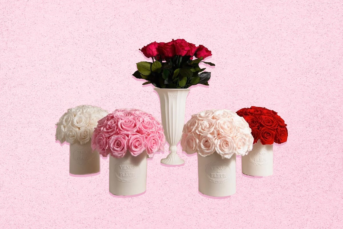 Best Options for Preserved _ Everlasting Roses Delivery
