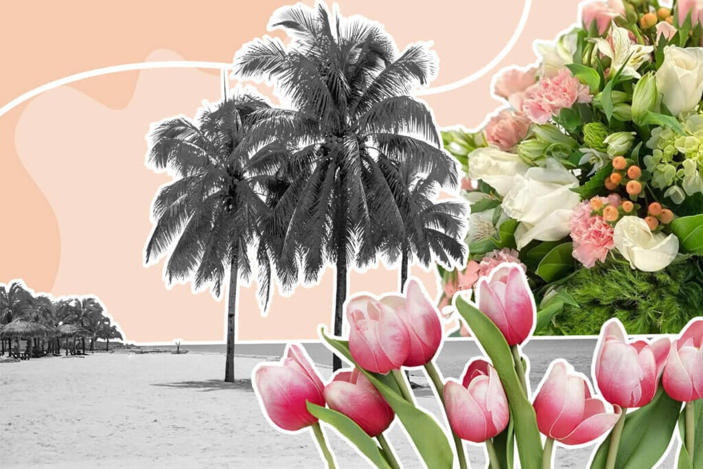 Best Florida Flower Delivery Services