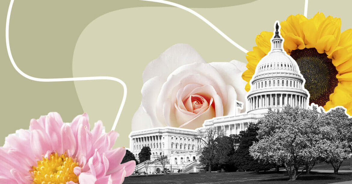 12 Best Washington DC Flower Delivery Services (2024) Petal Republic