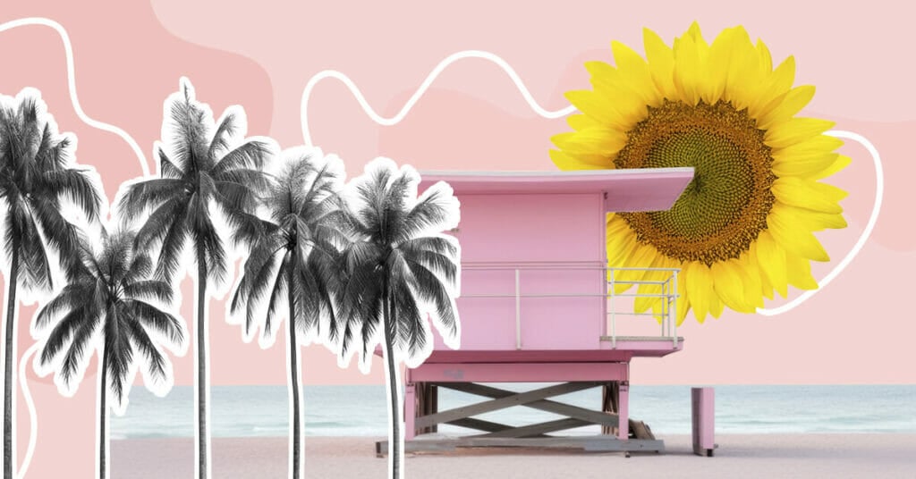 Best Miami Flower Delivery Services