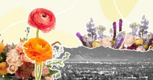 Best Phoenix Flower Delivery Services