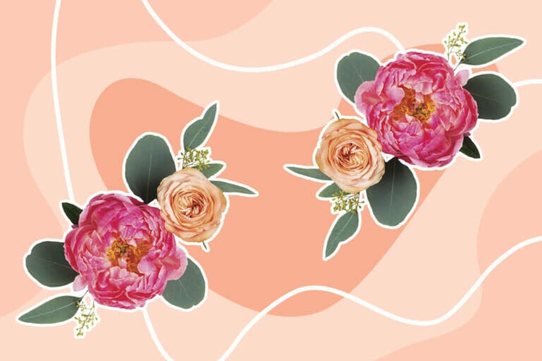 Best Types of Flowers for Birthday Gifts