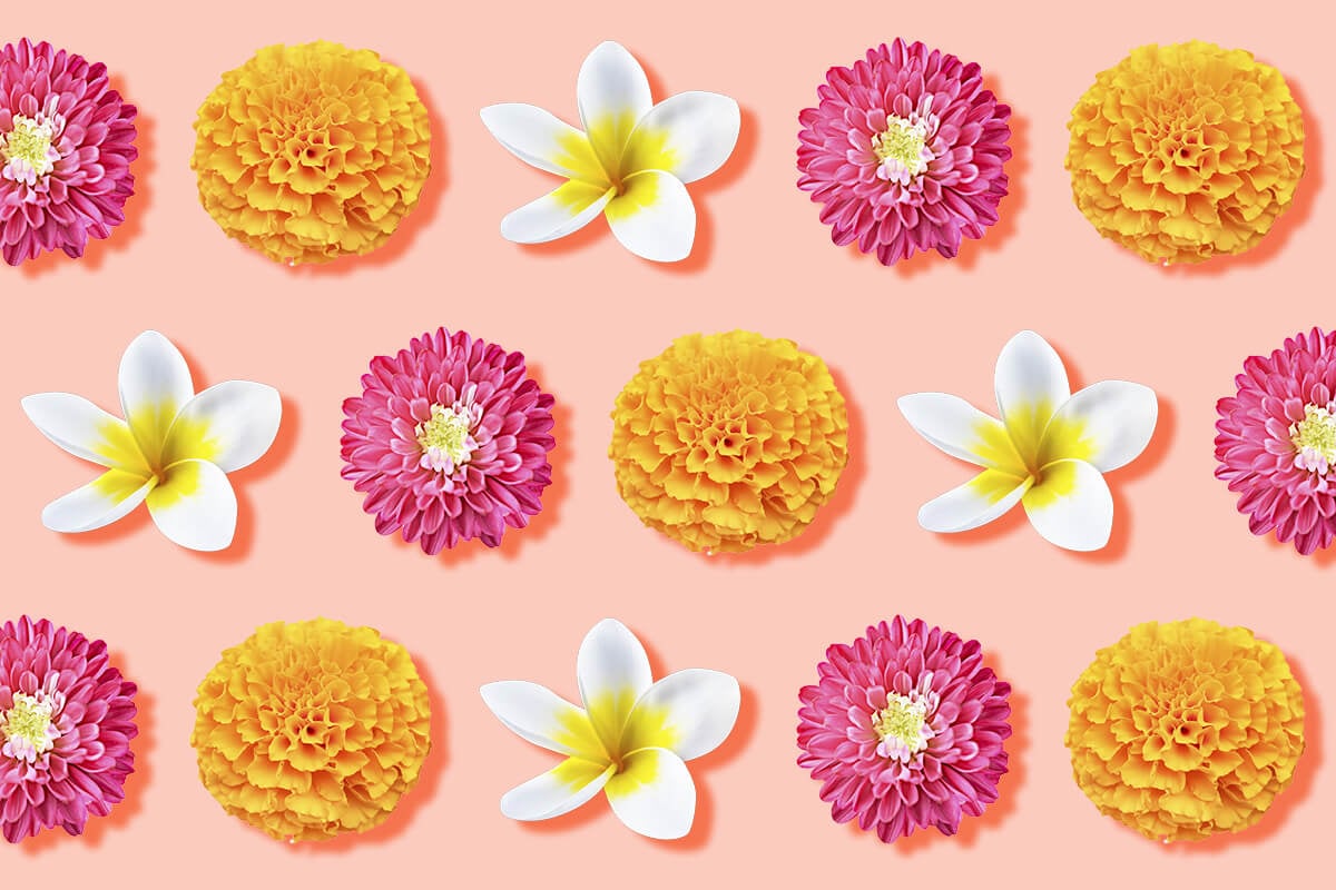 Stunning Native Mexican Flowers With Pictures
