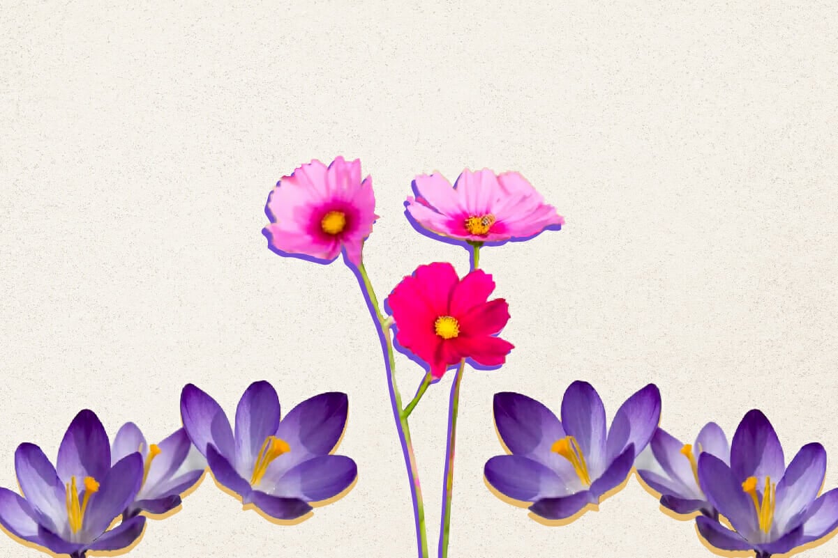 The Most Popular Seasonal Flowers by Month
