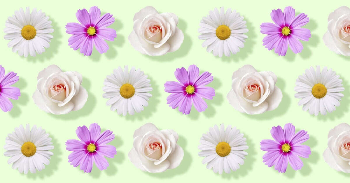 The Official Birth Month Flowers and Their Symbolic Meanings
