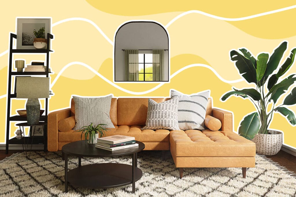 Best Feng Shui Plants for the Living Room