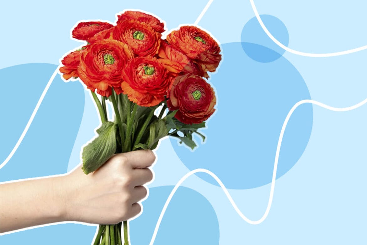 14 Best Types of Flowers to Gift on A First Date Petal Republic