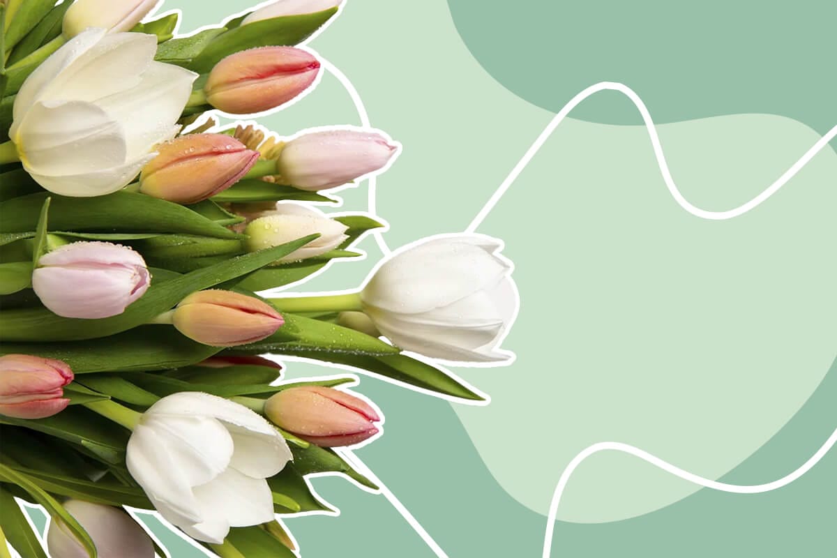 Best Types of Flowers to Gift to Your Girlfriend