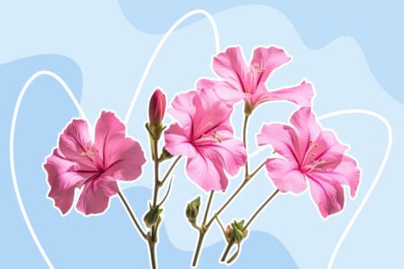 6 Strongest Legal Testosterone Boosters Compare Side By Side 2022