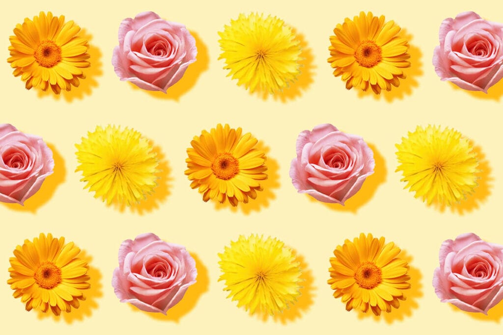 11 Healing Flowers in Traditional Therapies and Medicines - Petal Republic