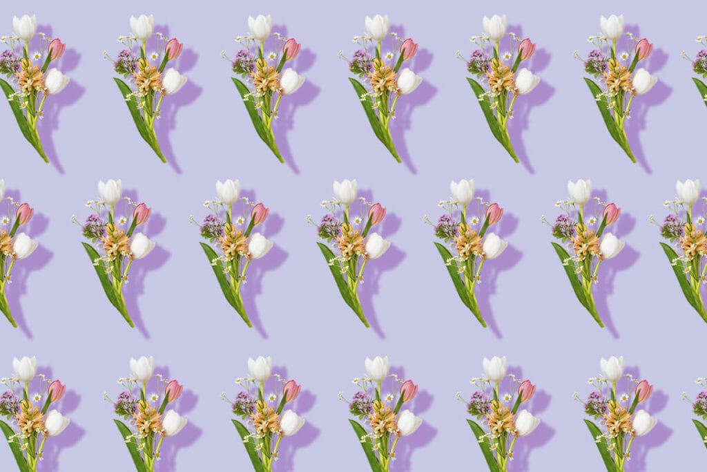 Posies Flower Meaning, Symbolism, Origins, and Cultural Significance