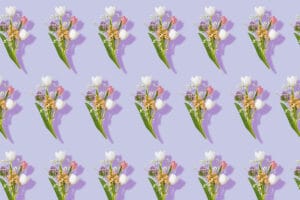 Posies Flower Meaning, Symbolism, Origins, and Cultural Significance