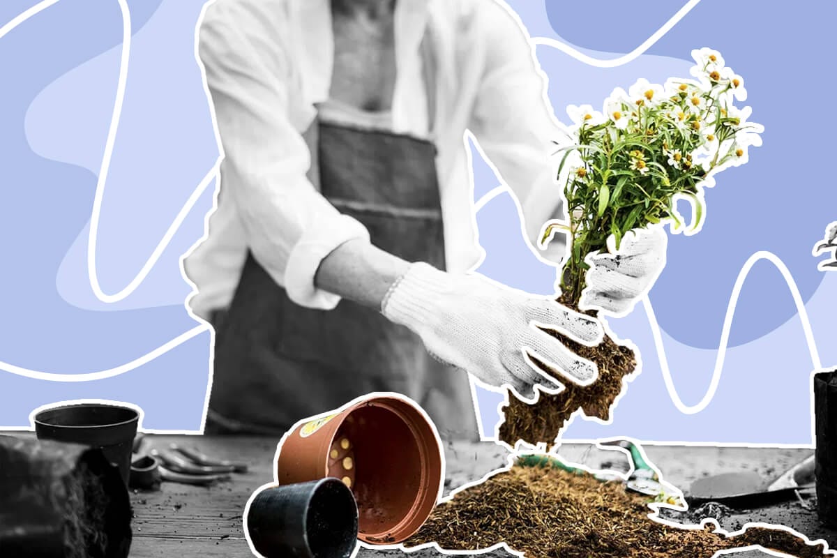 Proven Benefits of Gardening