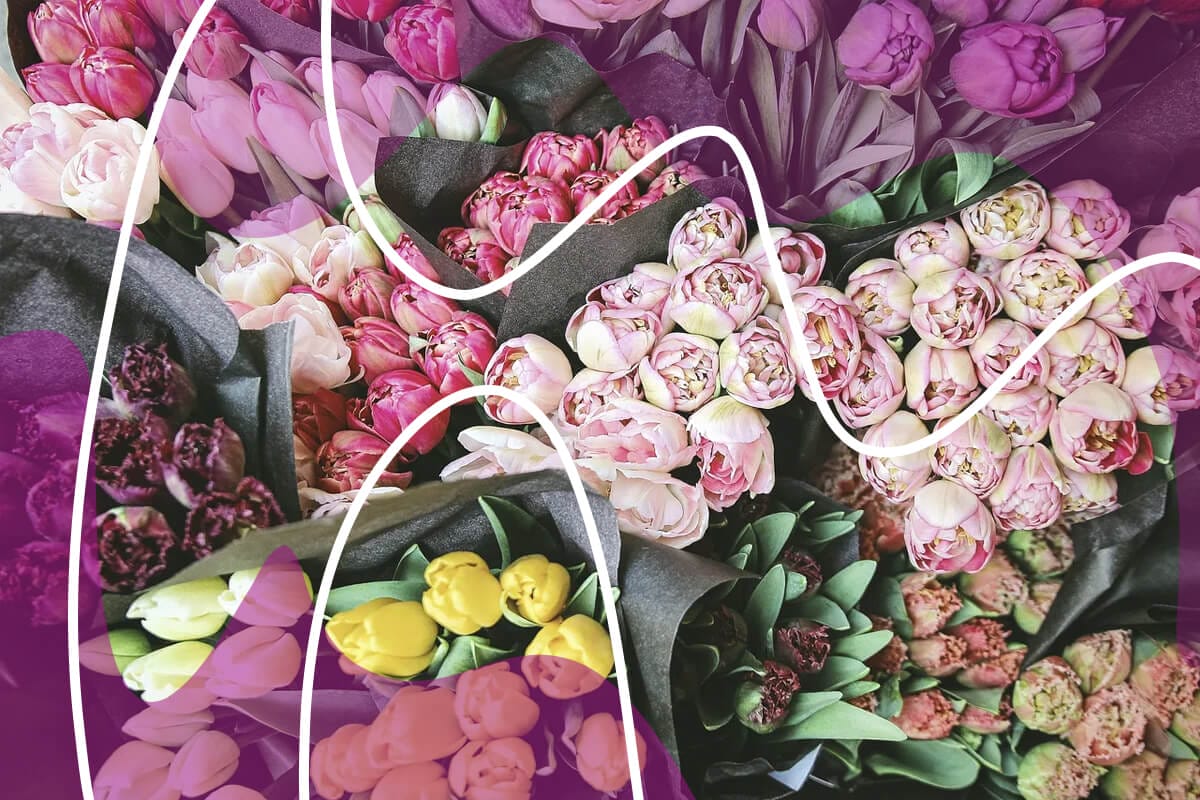 Uncover the Los Angeles Flower District_ A Floral Paradise