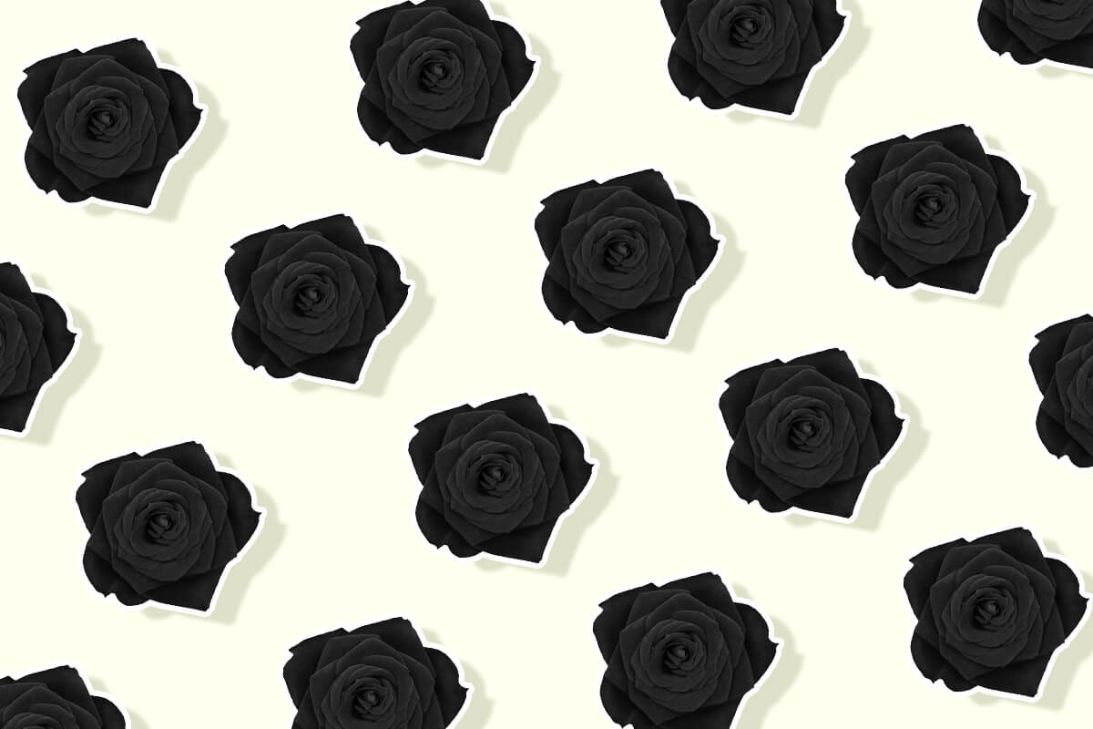 Black Roses and Their Deep and Mysterious Meaning and Symbolism