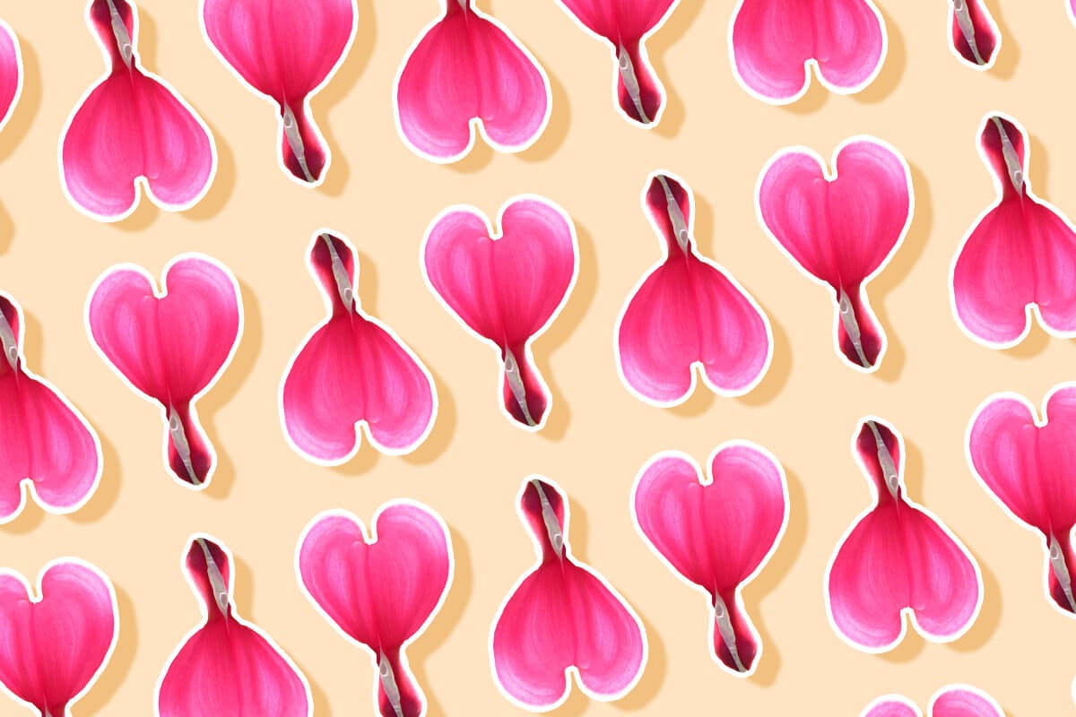 Symbolic Bleeding Heart Flowers