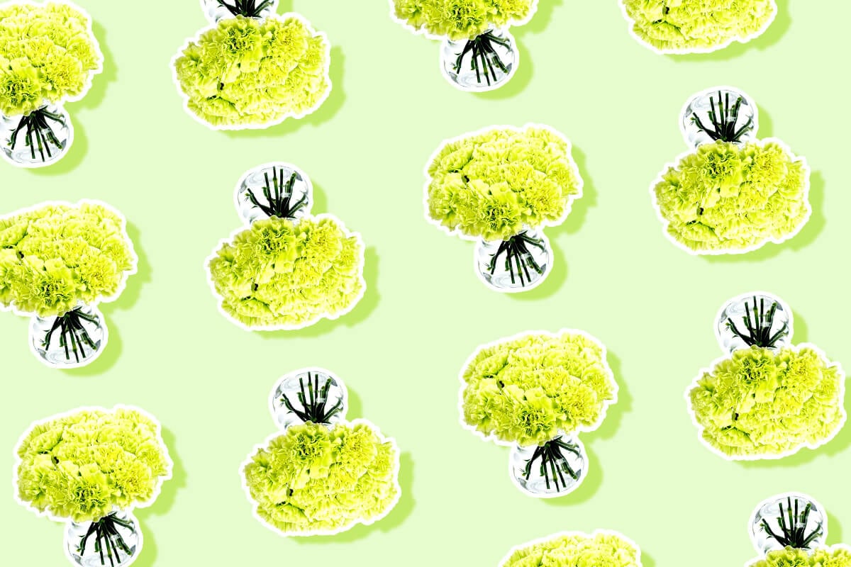 Green Flowers and Their Symbolism_ Discover the Meaning Behind the Color