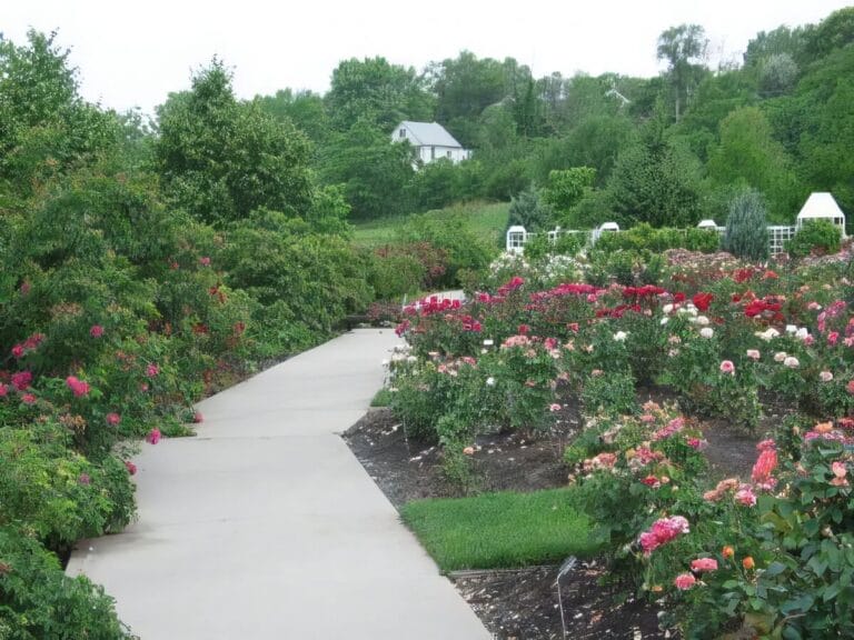 30 Best Rose Gardens in the World You Have To Visit - Petal Republic