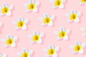 Ultimate Guide to Frangipani (Plumeria) Meaning and Symbolism