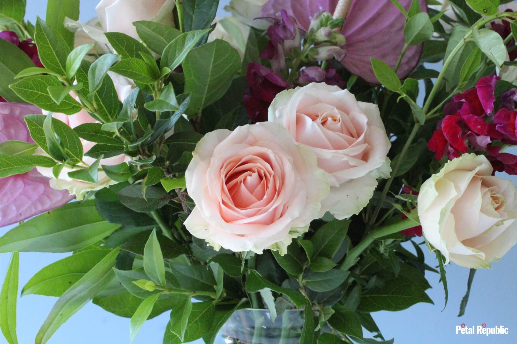 A vase of flowers featuring pink roses