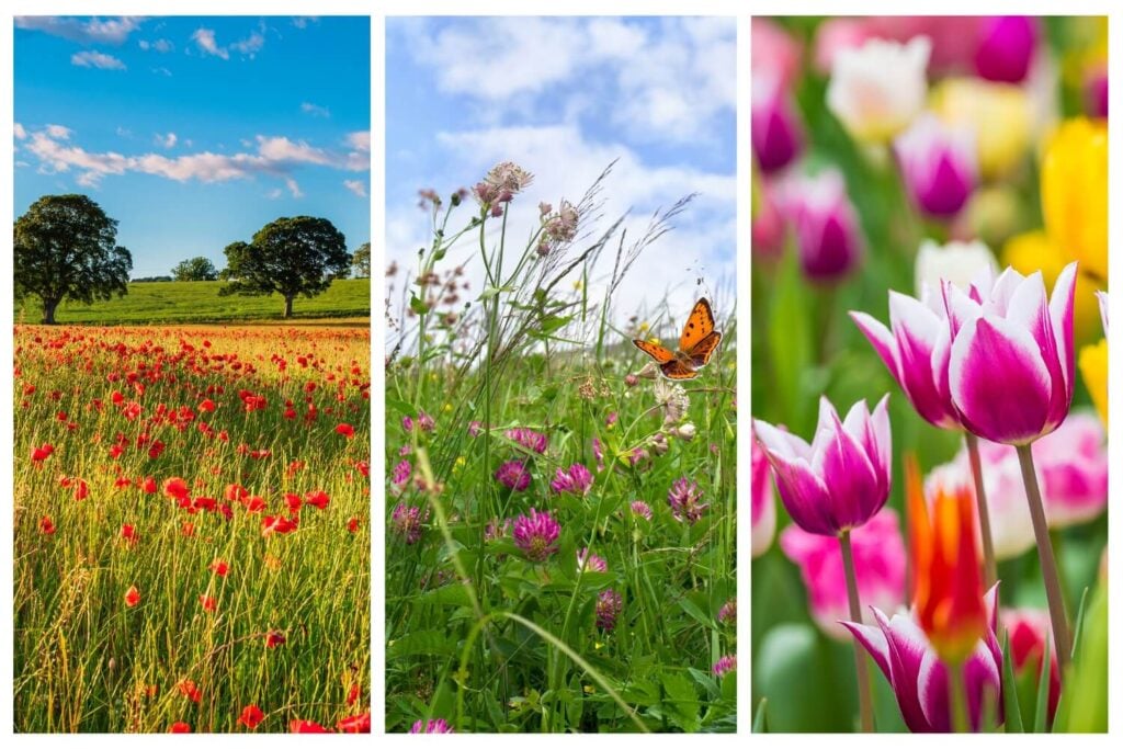 Photos of the Week May 17th 2024