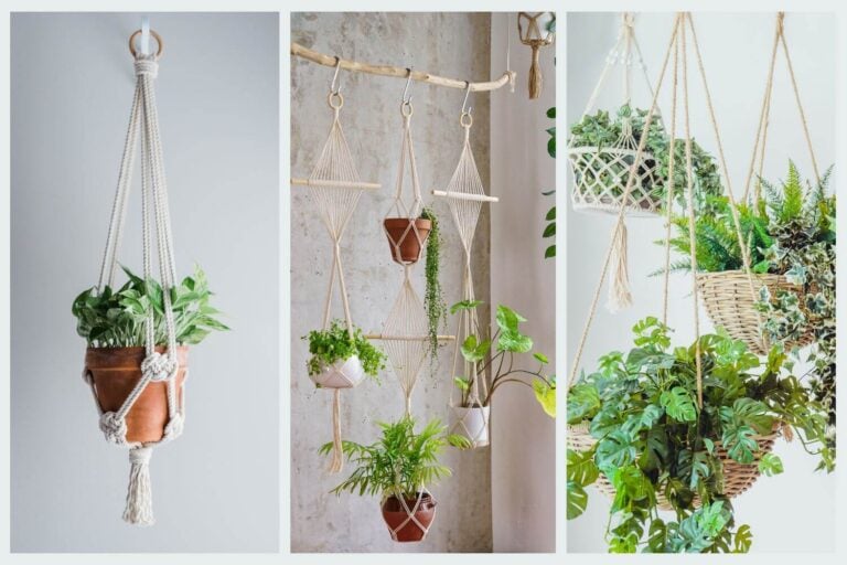 Feng Shui-Friendly Hanging Plants