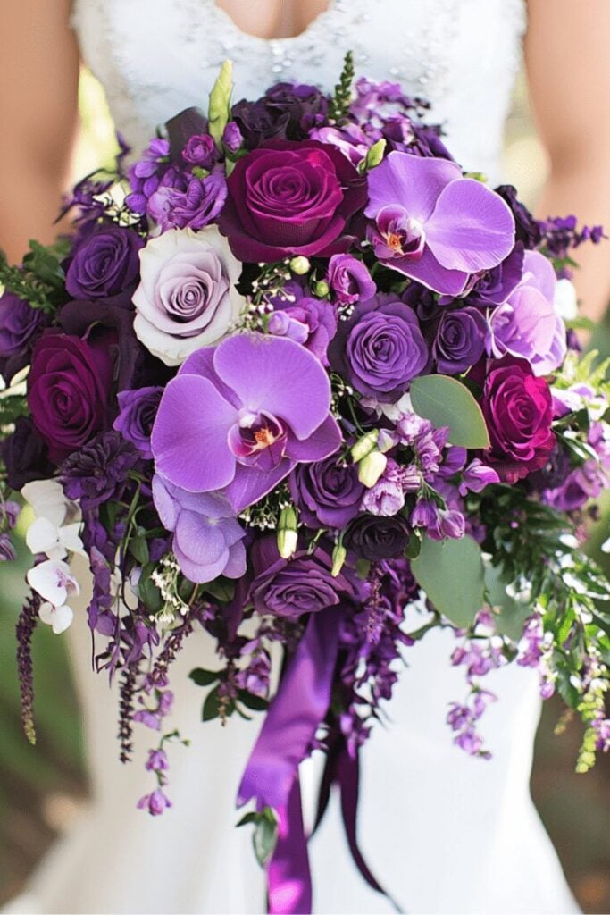 Violet Dreams