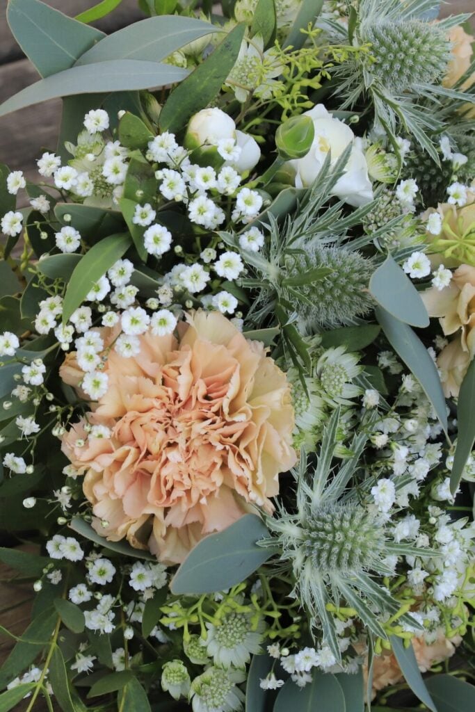 Bouquet featuring peach carnations, thistles, eucalyptus leaves, and Baby’s Breath, offering a whimsical and rustic design.