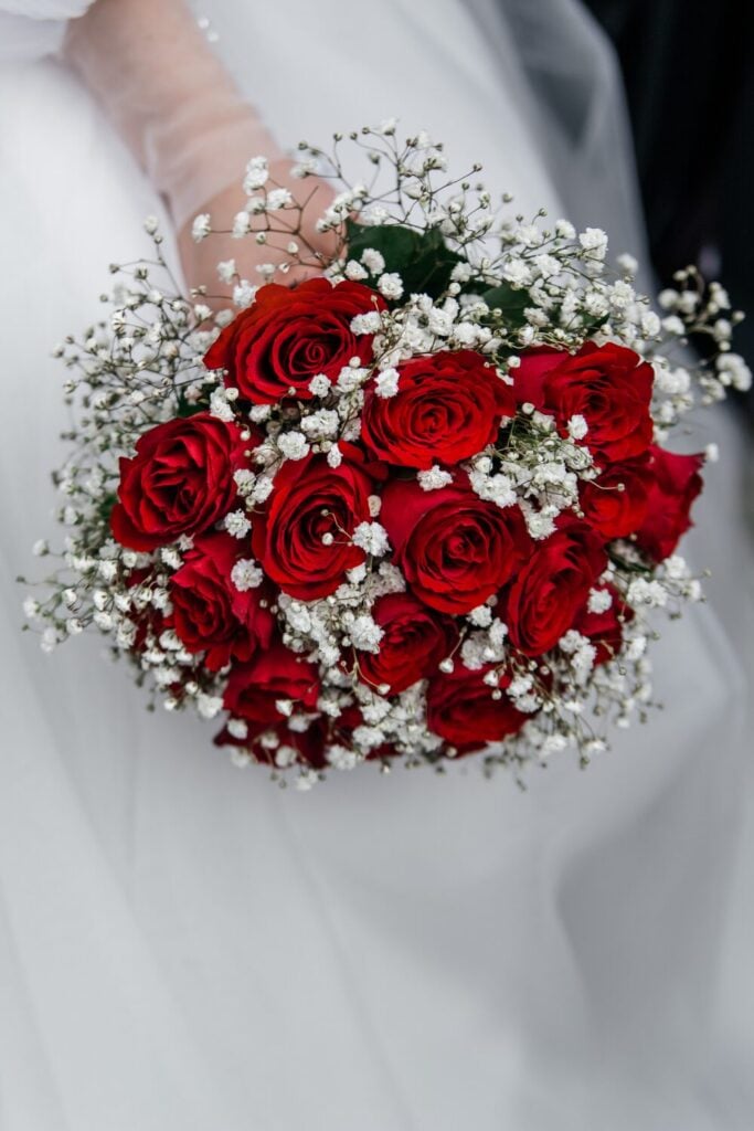 Classic round bouquet of red roses surrounded by white baby's breath
