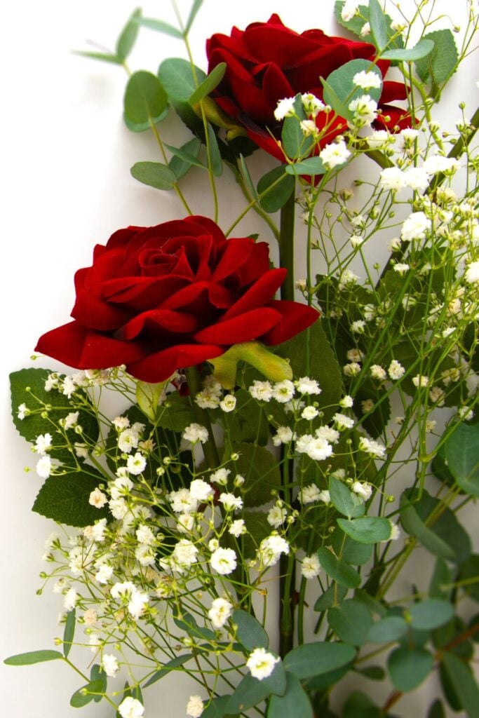 Red roses with baby's breath and eucalyptus leaves on white background