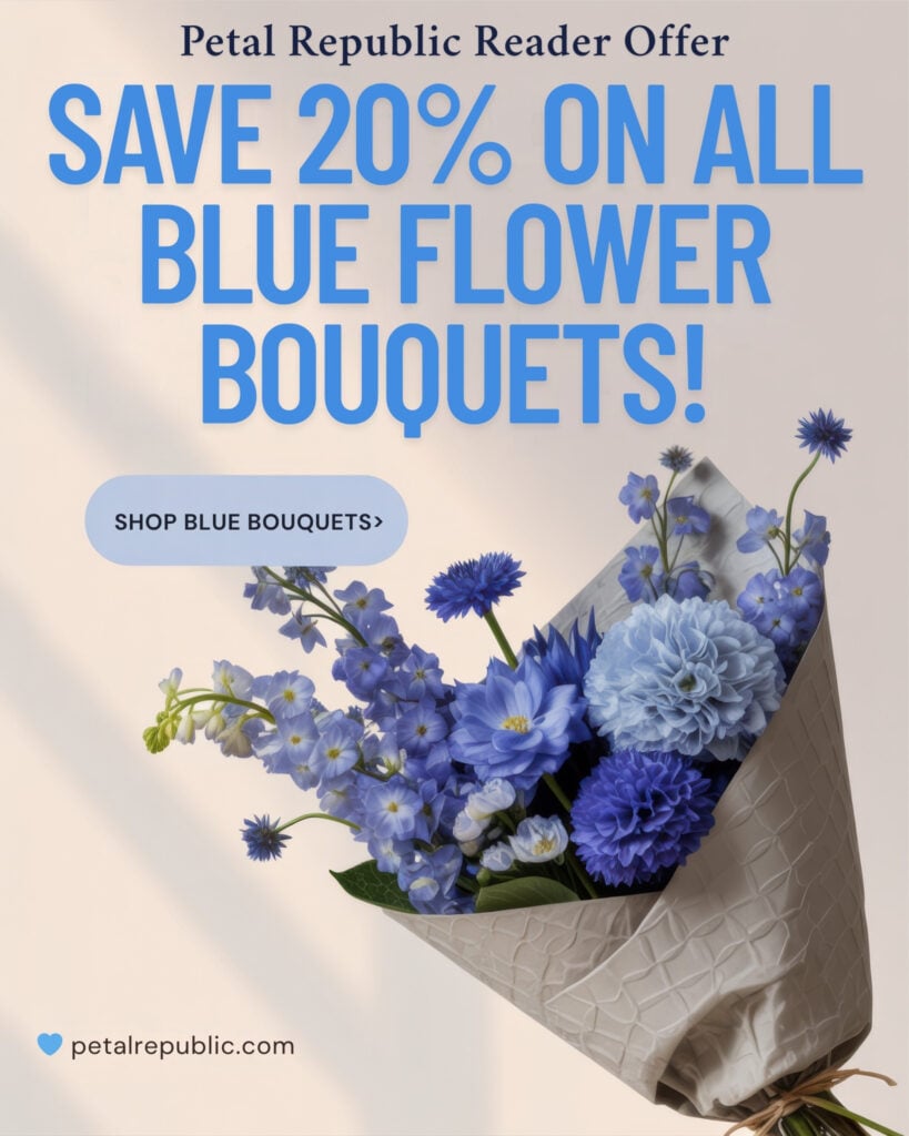 Blue Flowers Reader Offer